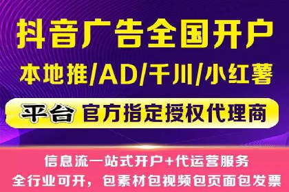 网络推广与竞价优化成功案例